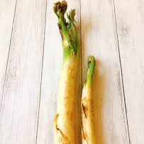 ウドの串揚げ