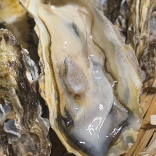 漁師さんから直接仕入れの本格海鮮が味わえる！