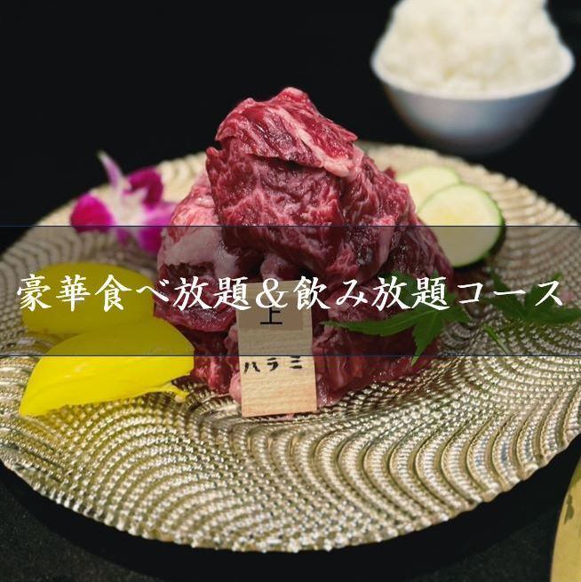 期間限定◎リニューアルオープンに向けた豪華食べ飲み放題♪