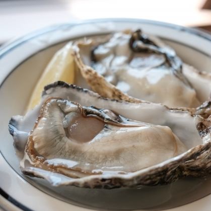 [Our most popular ◎Raw oysters from Tohoku Sanriku]