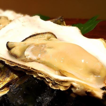Ogatsu's dream oyster