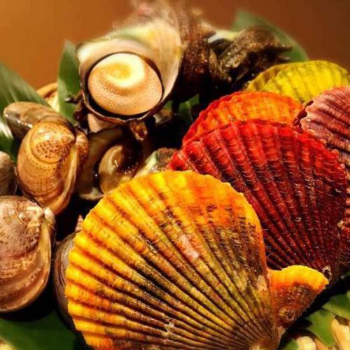 Three kinds of freshly picked shellfish