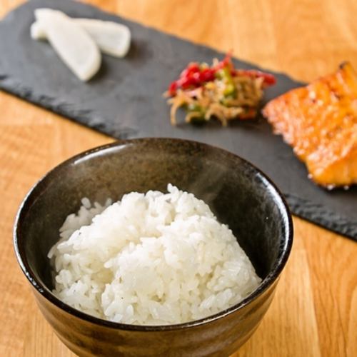 ◆可限時享用新米♪