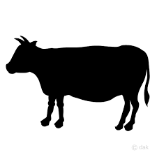 쇠고기 사가리 스테이크 80g/160g