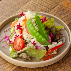 糸島野菜ちょっとサラダ