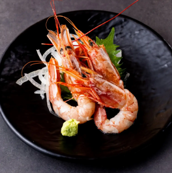 Red shrimp sashimi