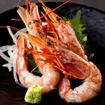 Red shrimp sashimi