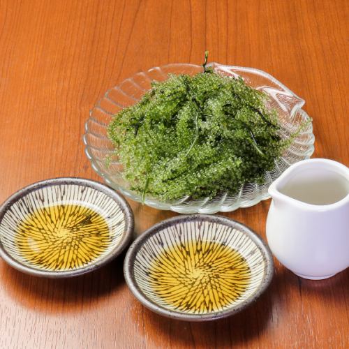 海ぶどう
