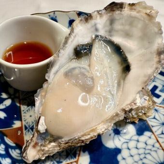 生牡蠣　