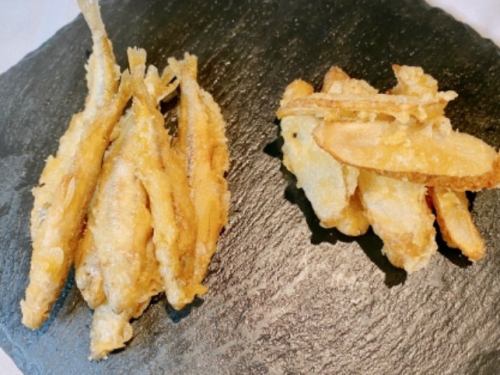 わかさぎ・春ごぼうおつまみ天ぷら