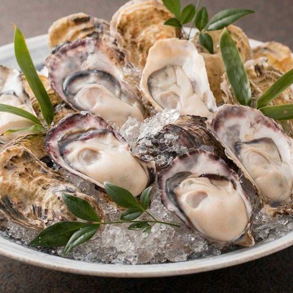 带有贝壳、味道浓郁的“濑户内生牡蛎”