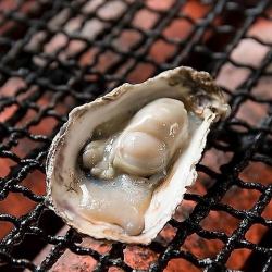 [Setouchi] Grilled oysters with shells (1 oyster)