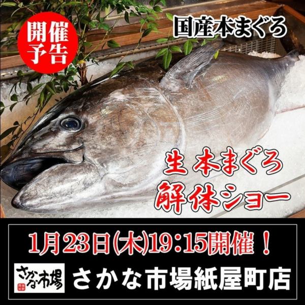 令人印象深刻的金槍魚解剖學表演於 1 月 23 日星期四 19:15 開始！