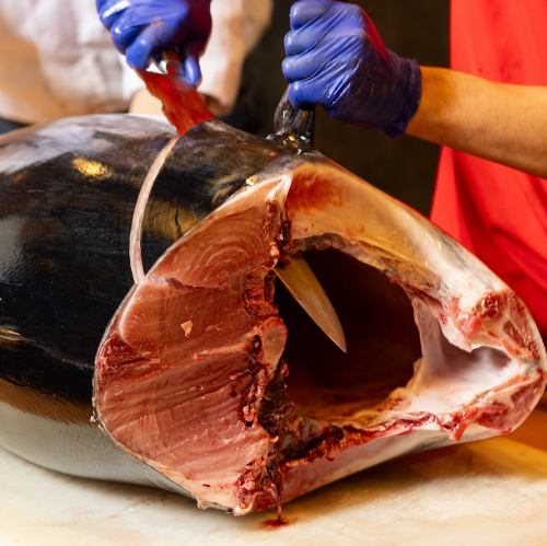 June 9th (Tue) 19:15~ [Live Bluefin Tuna Cutting Show] A chef will skillfully cut up a giant tuna!