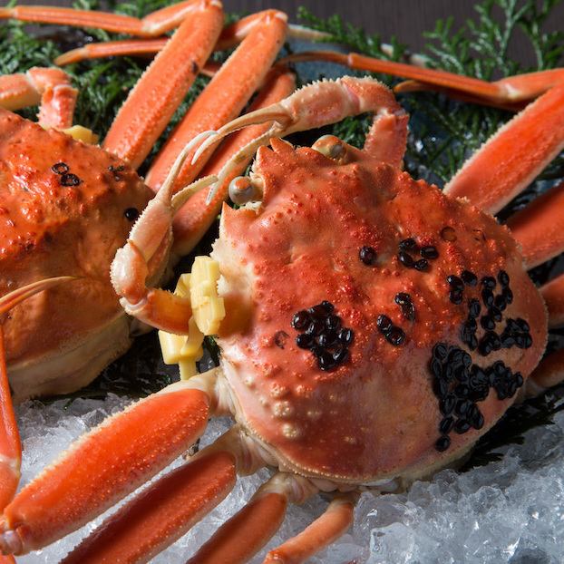 福井の地魚やカニを鮮度高く食べられる！早めのご予約が必須！