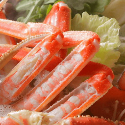 【需預約,11月7日至隔年3月底,時價】螃蟹火鍋(1隻越前蟹約800克,約2人份)*取消政策適用