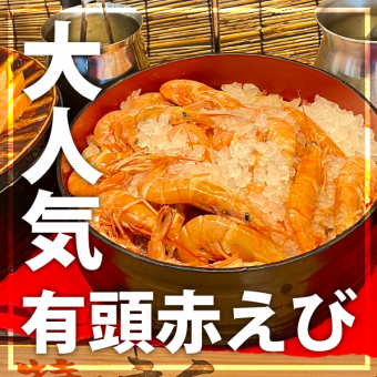 大人気の有頭赤えび！