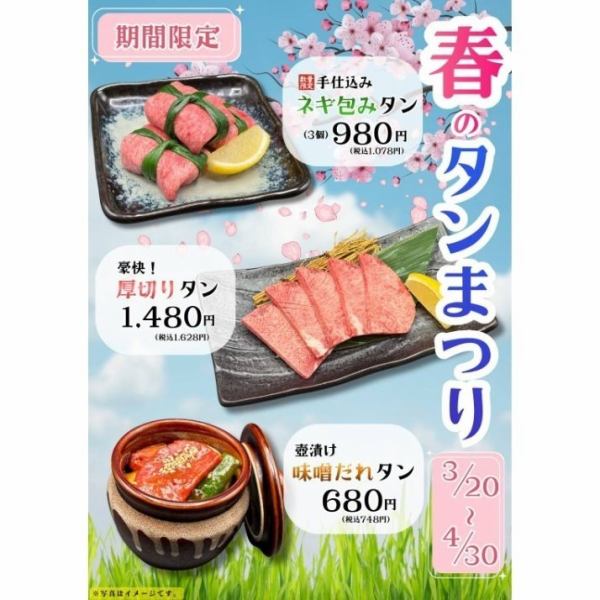 【今だけ限定！春のタンまつり】贅沢な厚切りタンや手仕込みネギ包みタンを堪能◎