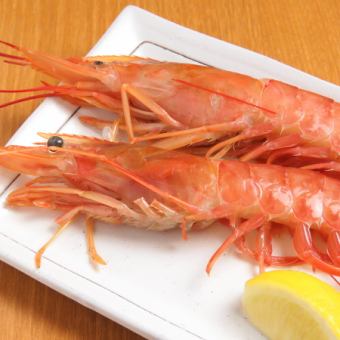 Red shrimp (1)
