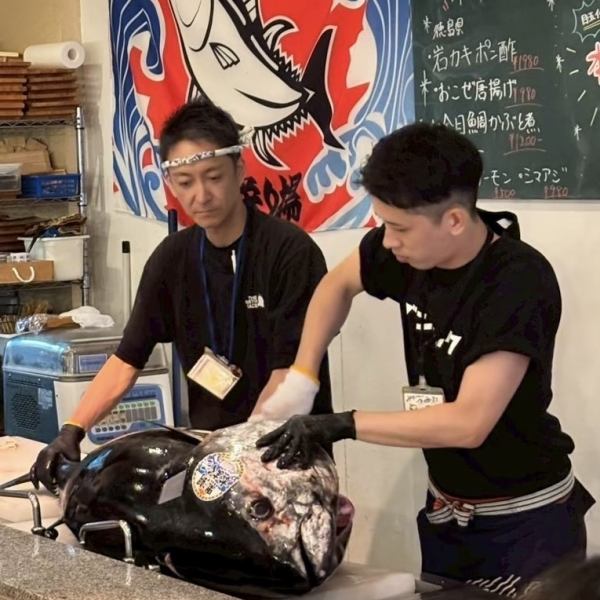 一匹買いだから、安価で且つこんなにうまいマグロが食べられる！色々な部位が美味しく頂けるのも◎迫力満点の大人気、マグロの解体ショーも実施予定！活気あるスタッフが鮮やかに捌きます！もちろんマグロメニューは豊富にご用意☆マグロ以外にも自慢の新鮮な魚介メニューが多数！驚くほどのハイコスパで提供☆