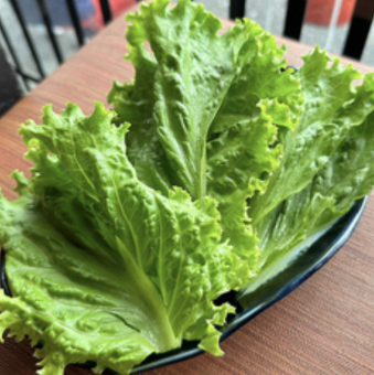 包み菜