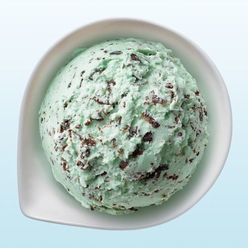チョコチップミントアイス