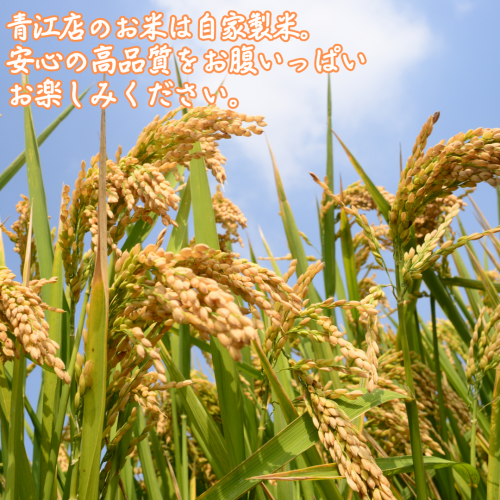 뷔페에서도 타협 없음!