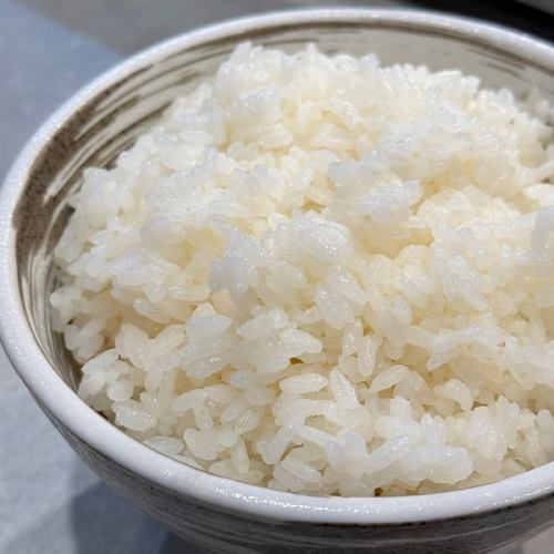 ごはん　[大/中/小]