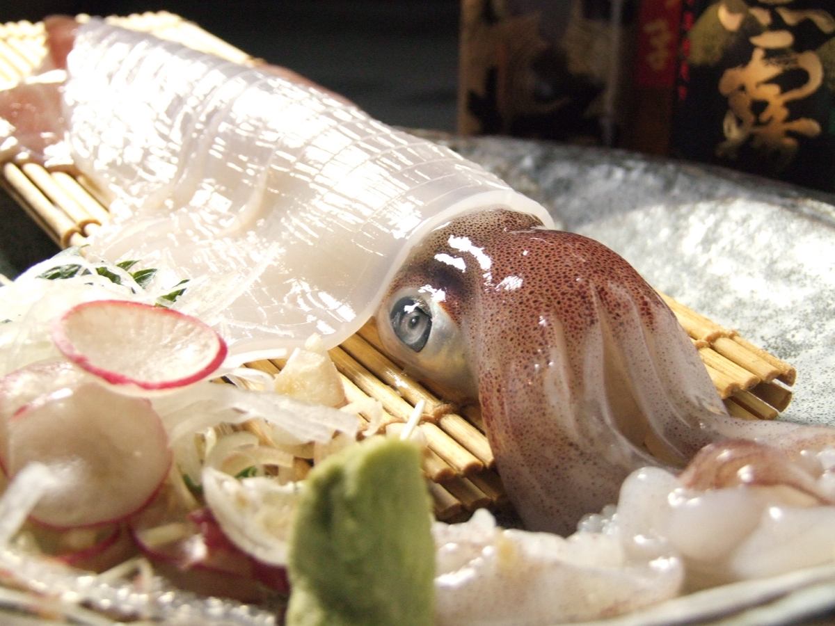 器が透けるほど新鮮！呼子直送イカ活造り1600円～！