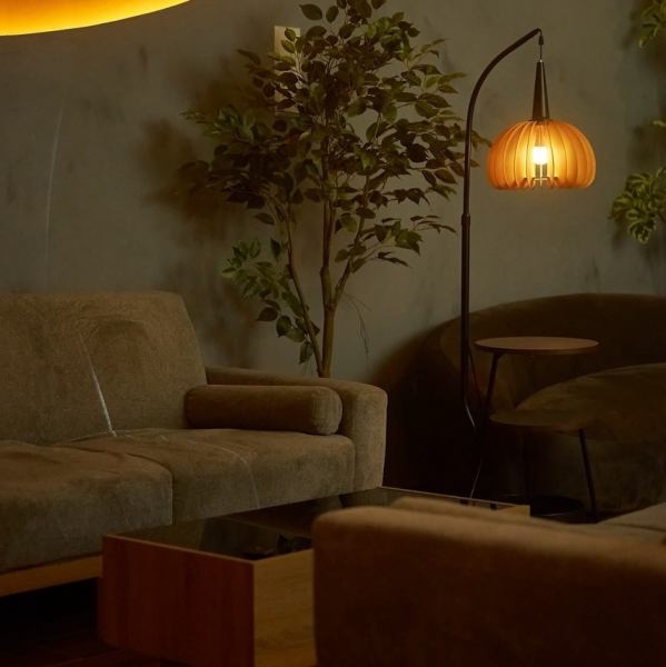 カラオケ付きの個室が2部屋あり、最大10名まで利用可能。VIP料金は1室7000円ですが、10人で利用すれば一人あたりわずか700円と、一般的なカラオケよりもお得に楽しめます。小規模な宴会にも最適で、プライベートな空間で音楽と会話を思う存分楽しめる、特別感のある贅沢なひとときをお過ごしいただけます！