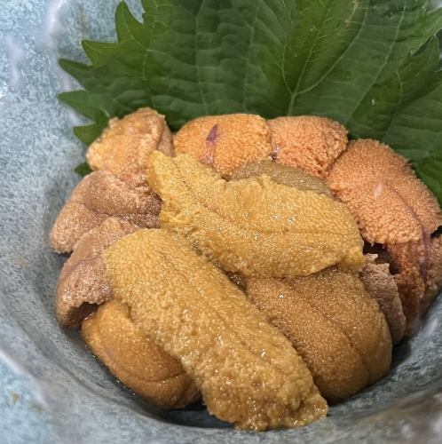 海水ウニ（ムラサキウニ）