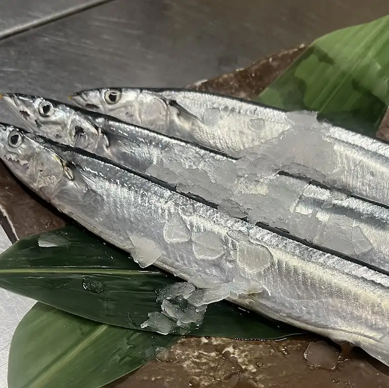 今季初入荷！！根室産生サンマ