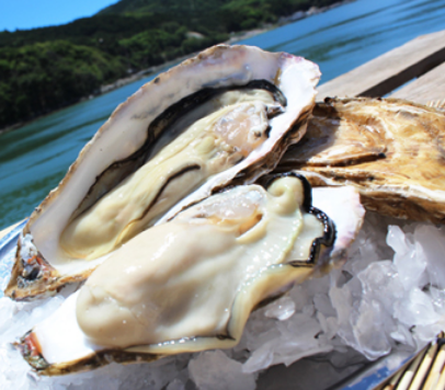 カキ小屋フィーバー 城陽寺田店 公式