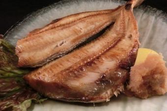 Thick striped Atka mackerel