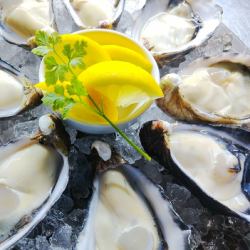 【品牌牡蠣/大入島牡蠣】分享更優惠！牡蠣套餐 *請每人訂購6隻或以上。