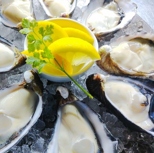 【品牌牡蠣/大入島牡蠣】分享更優惠！牡蠣套餐 *請每人訂購6隻或以上。