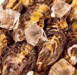 【外帶】冷凍牡蠣（生吃）*接受10個或以上的訂單。