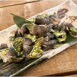 カメノテの塩ゆで