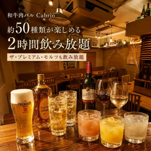 【2時間単品飲み放題】ザ・プレミアム・モルツ・角ハイボール・カクテルなど約50種
