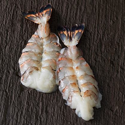 Shrimp/Scallop