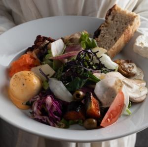 Today's salad dish 本日のサラダプレート