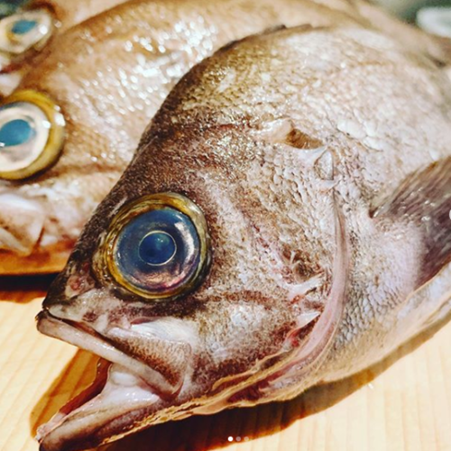 Boiled rockfish