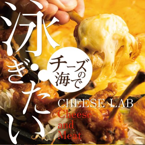 Instagrammable → 奶酪x肉!! [包房全席] *7道菜套餐+2H无限畅饮：3,500日元~