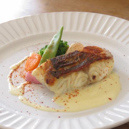 包含開胃菜、主菜（任選其一）、甜點和飲料♪ [午餐套餐 B] 2,420 日圓（含稅）