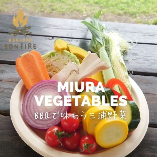 数量限定！三浦野菜セット《1,100円(税込)》