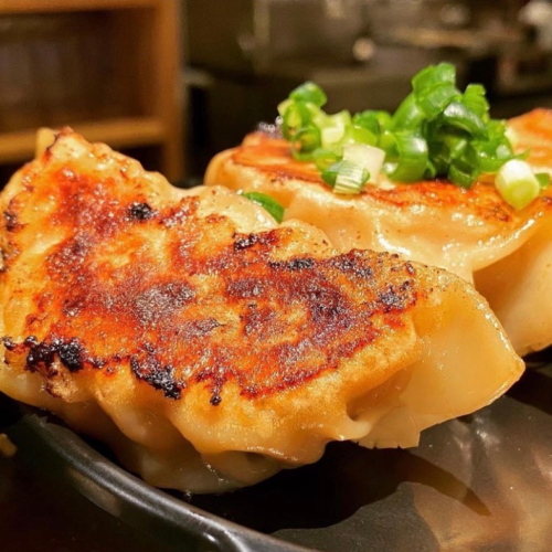 [Very popular] Gyoza