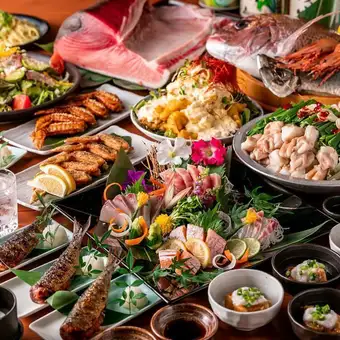 <4000日圓包含2小時暢飲> ◆ 精選藍鰭鮪魚和鯛魚刺身、博多風味水煮餃子等菜色。