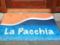 南イタリア料理店　La Pacchia(ラ　パッキア）