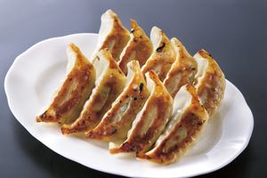 宇都宮直送焼き餃子  10個