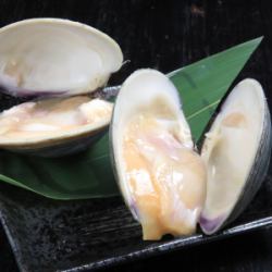 白はまぐり